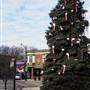 Hammonton - Churches and Houses