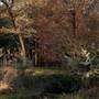 Hammonton - Farmland