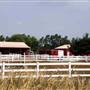 Hammonton - Condos and Vineyard