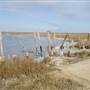 Oyster Creek