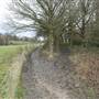 Scadbury Park Nature Reserve