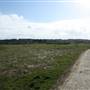 Richmal Crompton Fields