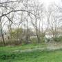 Brenchley Gardens