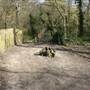 Dulwich Wood