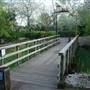 Russia Dock Woodland