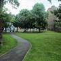 Surrey Canal Path