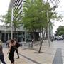 Lyric Square W6