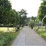 Normand Park