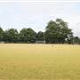 Ravenscourt Park - Bowles Green