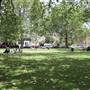 Parsons Green