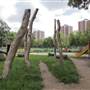 Shepherds Bush Common