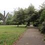 St Peters Square (The park)