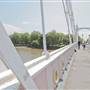 Albert Bridge