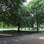 Avondale Park - Main Area