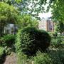 Colville Square Gardens