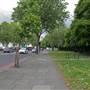 Embankment Gardens Chelsea
