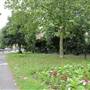 Embankment Gardens Chelsea