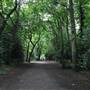 Holland Park - Main Area