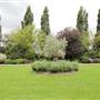 Kensington Memorial Park - Garden