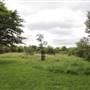Little Wormwood Scrubs - Main Area