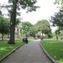 St Luke's Gardens