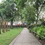 Tavistock Square Gardens