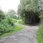 Bishops Park - Moat Garden