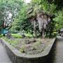 Bishops Park - Rose Gardens