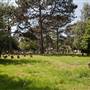 Hanwell Cemetery Hanwell