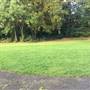Fishponds Park