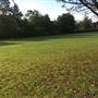 Fishponds Park