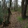 Amherst Wood Open Space