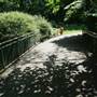 Kelsey Park