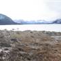 Bennett Lake