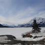 Bennett Lake