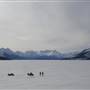 Bennett Lake