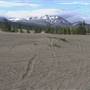 Carcross Desert