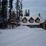 Craftsman House