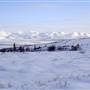 Dempster Winter