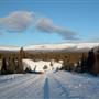 Fish Lake February