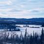 Fox Lake