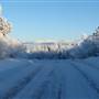 Fish Lake Road December