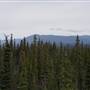 Haines Road