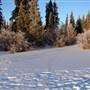 Jackson Lake