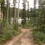 Long Lake Summer