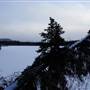 Marsh Lake