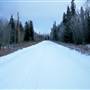 Lower Vista Road