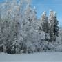 Mary Lake Area