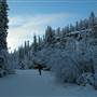 Mary Lake Area