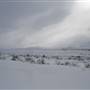 Mt MacIntyre March